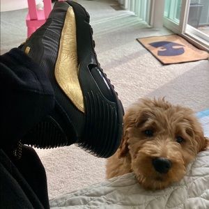 Meet your Posher, David